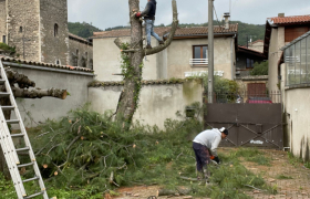 Abattage d’un pin très mal placé  À Champagne 07