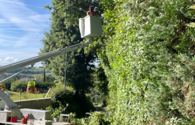 Elagage dégagement des branches menaçante sur la route