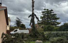 Elagueur Beaurepaire