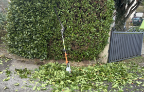 Elagueur Eyzin-Pinet - Taille de haie
