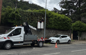 Taille de haie en bordure de route